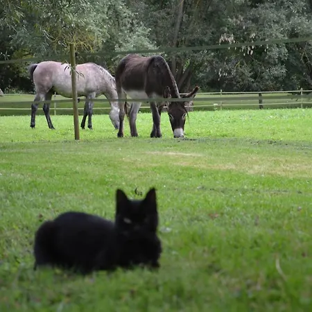 住宿加早餐酒店 Moulin Saurele 3*